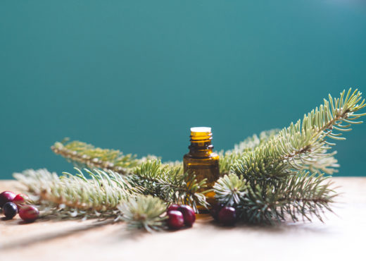 Cyber Monday Wellness Pine Needles Cranberries Essential Oil