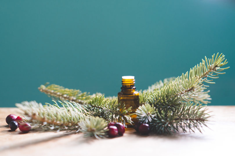 Cyber Monday Wellness Pine Needles Cranberries Essential Oil